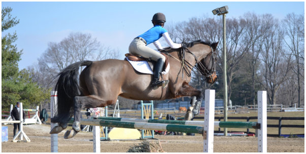 Photo Horse Jumping at Spring Run Farm
