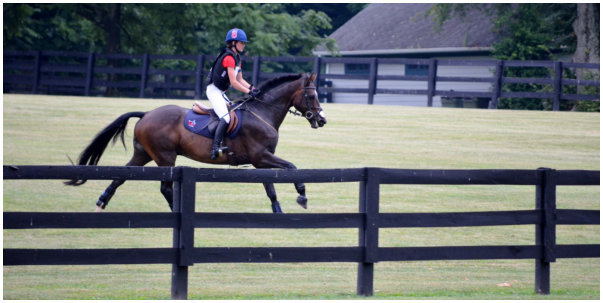 Photo - Rider at Spring Run Farm